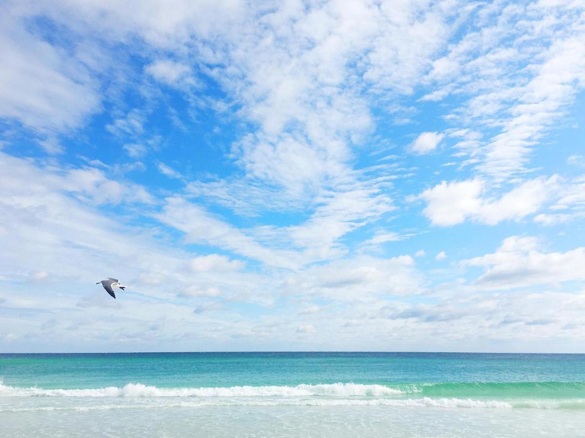 Beachy Keen دستين المظهر الخارجي الصورة